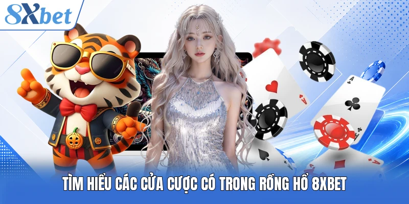 Tìm hiểu các cửa cược có trong Rồng Hổ 8XBET